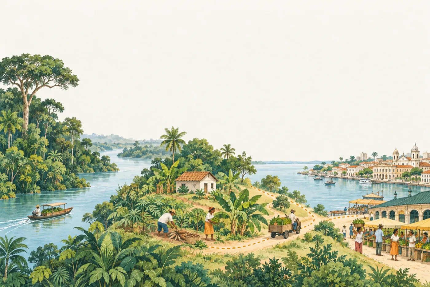 Ilustração da floresta à cidade: rio, roças de pequenos produtores e Belém ao fundo, ligados por um caminho pontilhado
